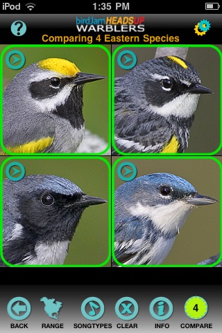 birdJam HeadsUp Warblers screenshot 2