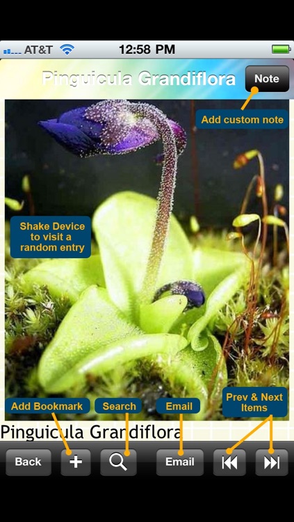 Carnivorous Plants Encyclopedia screenshot-4