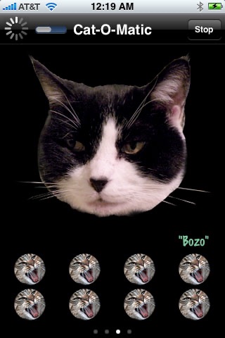 Cat-O-Matic Free Edition