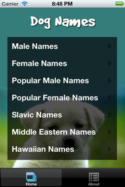 Dog Names