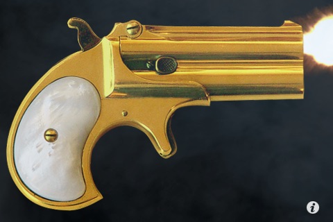 Gun Lite