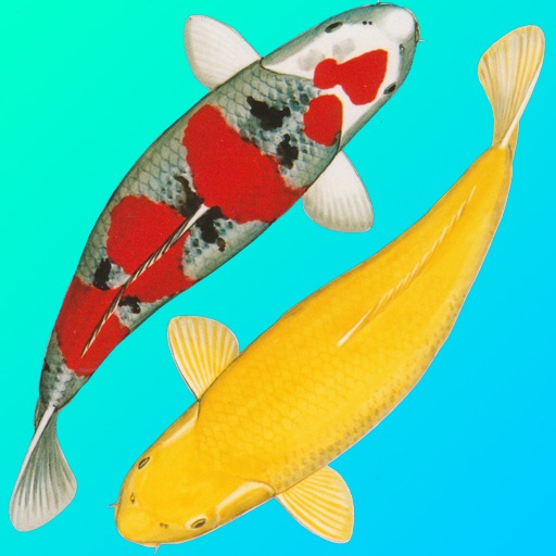 Koi Story HD icon