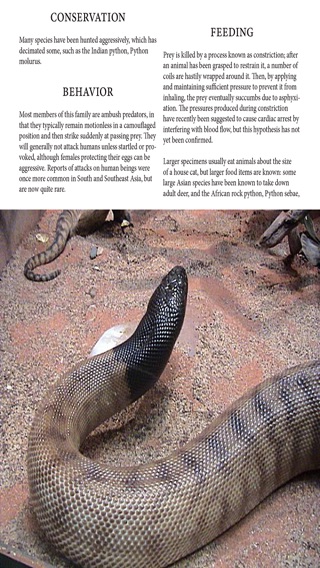 Snakes Magazineのおすすめ画像3
