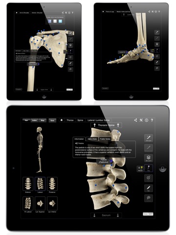 Skeleton System Pro III screenshot 4