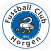 FC Horgen