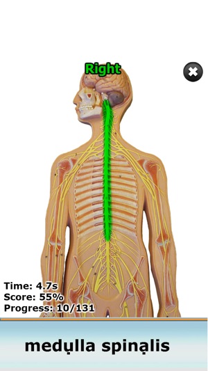 Anatomy Star - CNS (the Brain)(圖3)-速報App