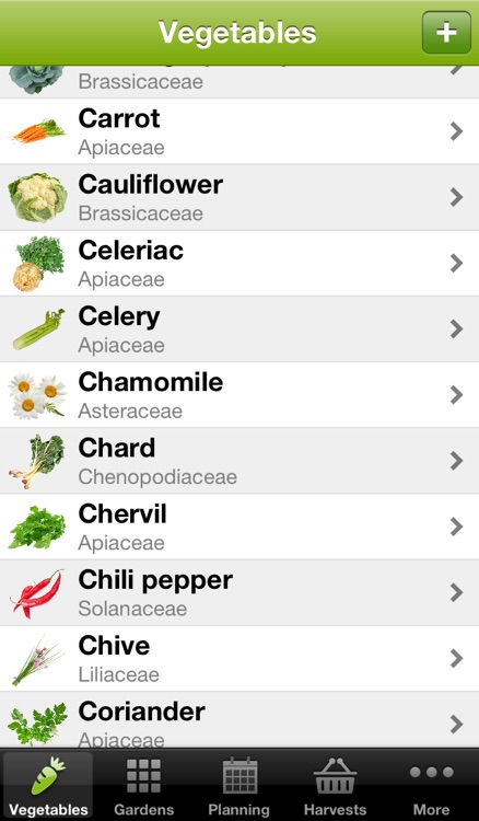 My Potager