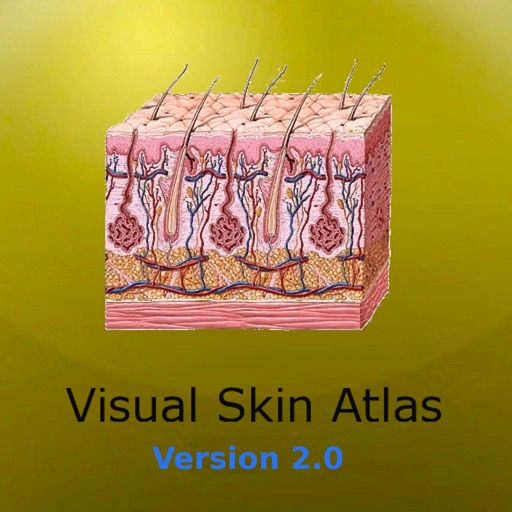 My Skin Atlas icon