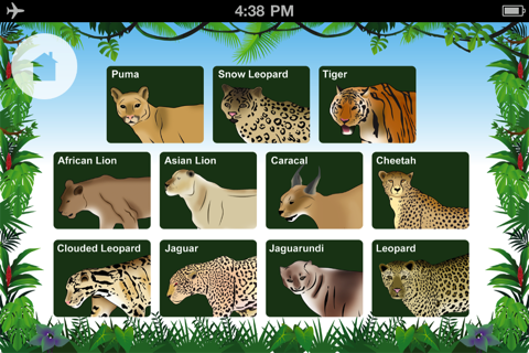 Wild Cats for Kids screenshot 3