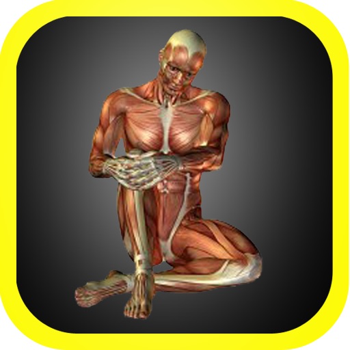 3D Visual Body Anatomy icon