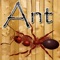 Ant Crusher Game HD