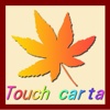 Touch carta