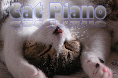 Cat Piano - Play a piano with kitten voice screenshot 2