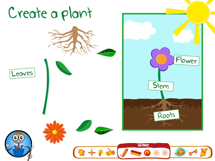 Parts of a Plant screenshot-4