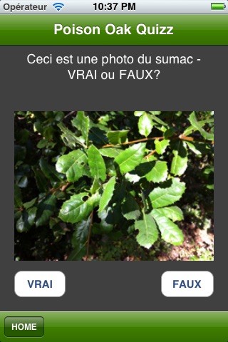 Poison Oak Quiz screenshot 3