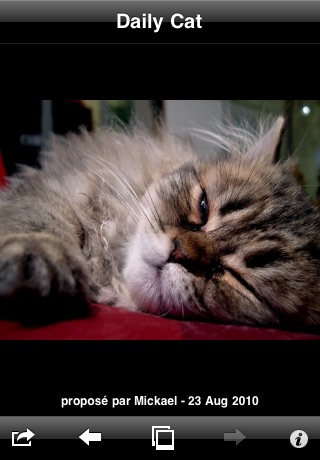 Bonjour Le Chat screenshot 2