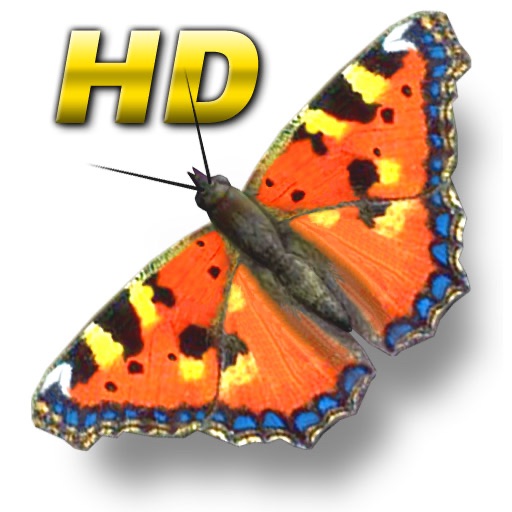 Butterfly Garden HD for iPad icon