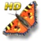 Butterfly Garden puts a beautifully rendered 3D Butterfly Garden in the palm of your hand