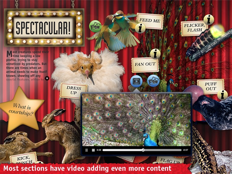 Discovery Channel: Extreme World screenshot-3