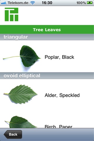 TreeTrees screenshot 2