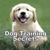 Dog Training Secrets