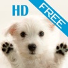iDog HD(free)