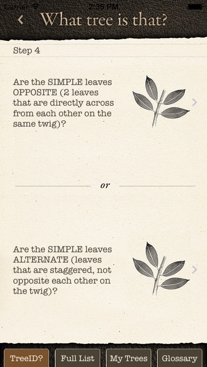 Arbor Day Tree Identification Guide: What Tree ...
