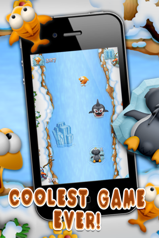 Polar Ice Penguin Racing Rage - A Free Flying Birds Fishing Adventure Game screenshot 4