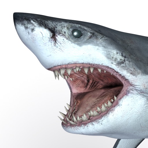 Talking Great White HD - for iPad icon