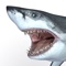 Talking Great White HD - for iPad
