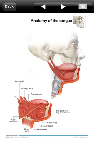 Miniatlas Dentistry screenshot 2