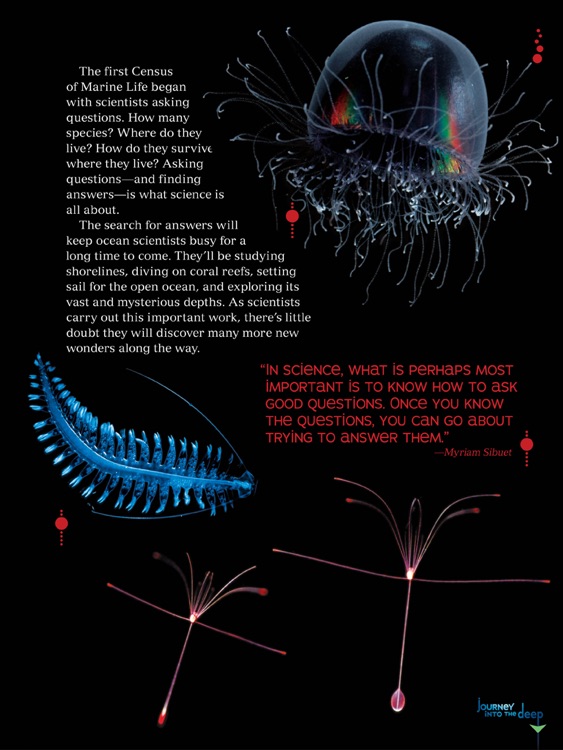 Journey Into the Deep screenshot-4
