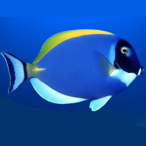 Fresh Water Fish Catalog icon