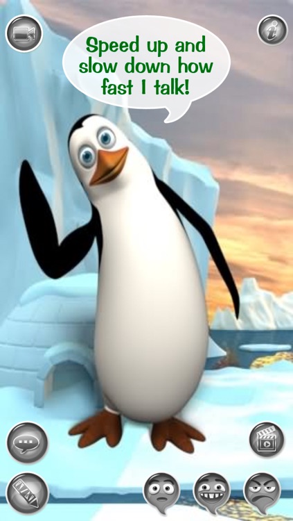 Hi, Talky Pat! FREE - The Talking Penguin: Text, Talk And Play With A Funny Animal Friend screenshot-3