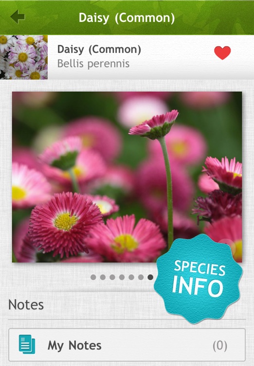 Medicinal Plants PRO - NATURE MOBILE screenshot-3