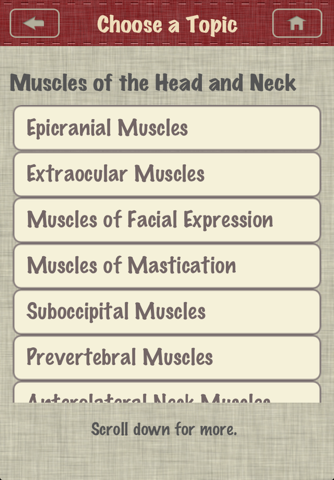 Anatomy - Muscle OINA screenshot 3