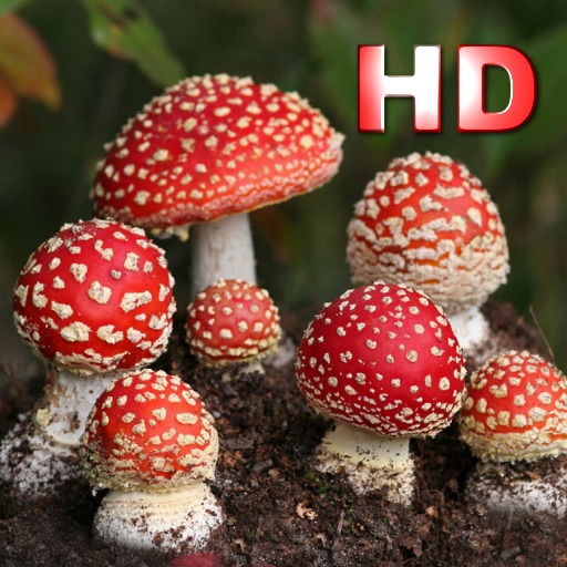 Mushrooms Encyclopedia HD icon