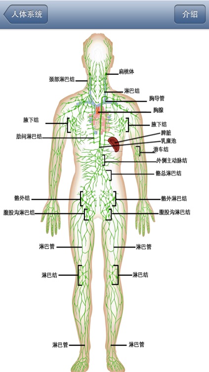 人体解剖/结构/系统[免费版]