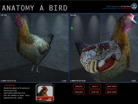 Anatomy a Bird screenshot 2