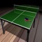Table Tennis Deluxe