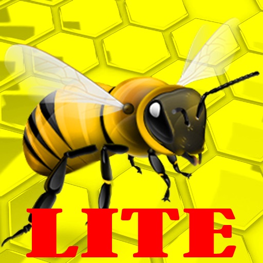 Crazy Bee Lite Icon