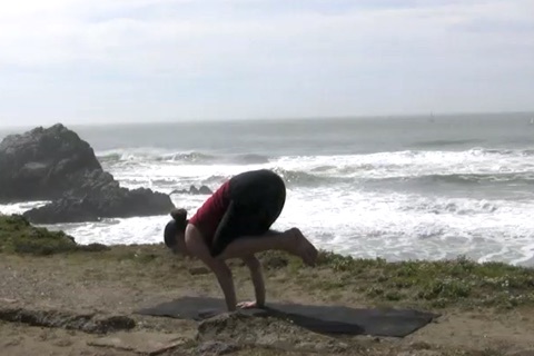 Yoga 201 screenshot 3