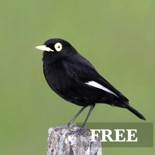 Birdwatcher's Quiz FREE Icon