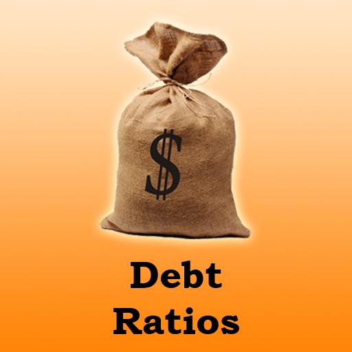 Debt Ratios Calculator