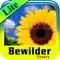 Bewilder-III Lite flowers jigsaw puzzle game
