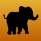 Send your young child on an adventure through the Serengeti plains with this education app