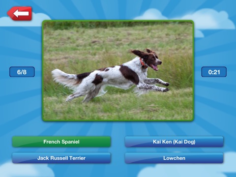 Name That Dog HD Free: The Unleashed Photo Game About Dogs screenshot 3