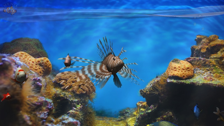 Fish Fingers! 3D Interactive Aquarium FREE