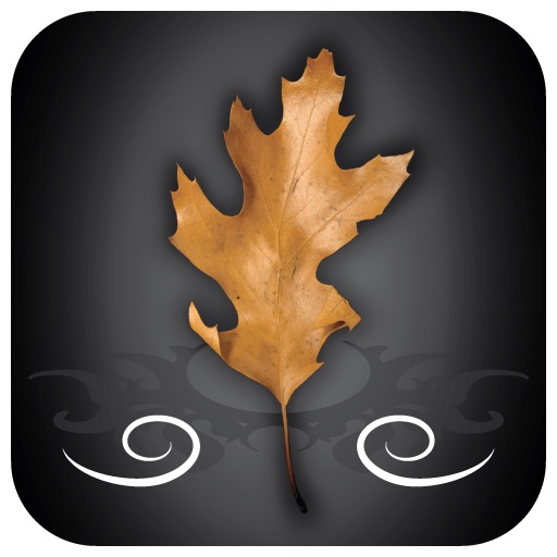 Late Leaves icon