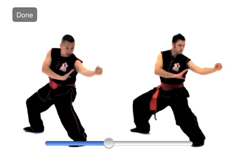 Kung Fu Lessons 1 - M.A.C. Martial Arts College screenshot 2